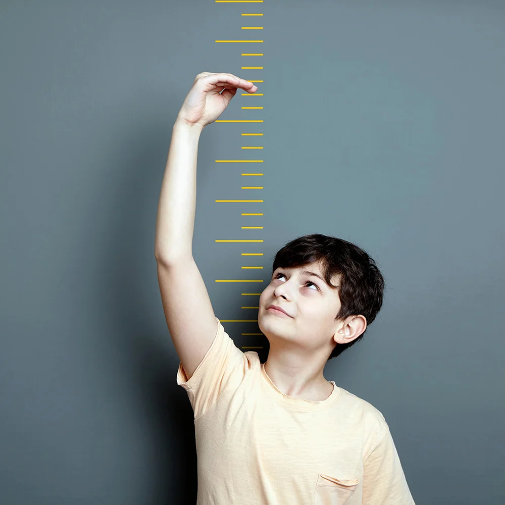 category HEIGHT DEVLOPER